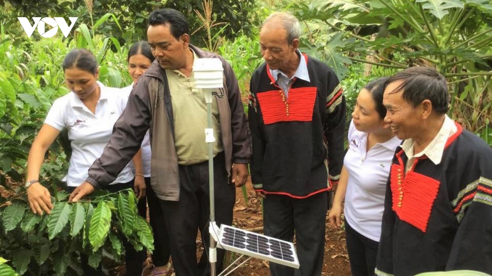 Thay đổi tập quán sản xuất, người dân tộc thiểu số ở Đắk Lắk có cuộc sống ấm no